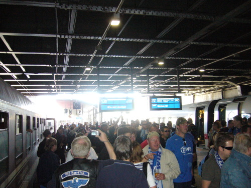 Hamburger SV - VfL Bochum - photo